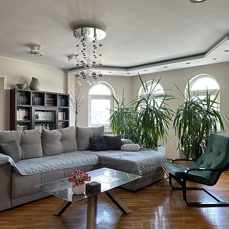 Lovely Apartments Free Street Parking Novi Sad Exterior photo